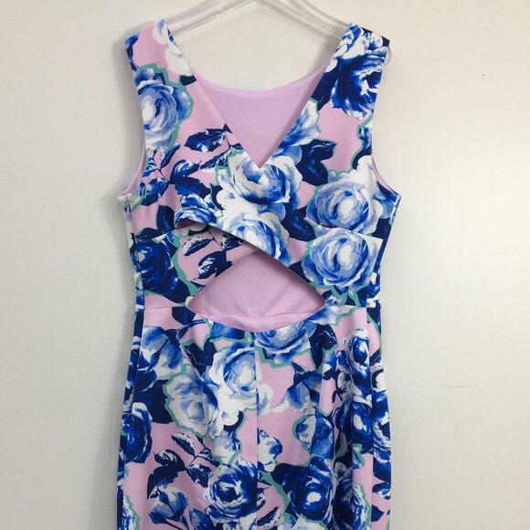 Betsy Johnson Blue and Pink Floral Design Sleeveless Open Back Midi Dress Size 8 - Picture 5 of 9